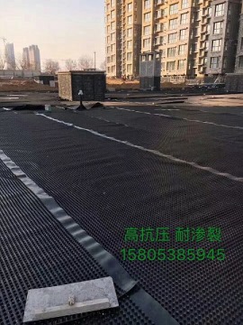 车库顶板排水板丨唐山包施工山东塑料排水板生产